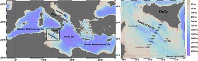 Hydrological and Biogeochemical Patterns in the Sicily Channel: New Insights From the Last Decade (2010-2020)